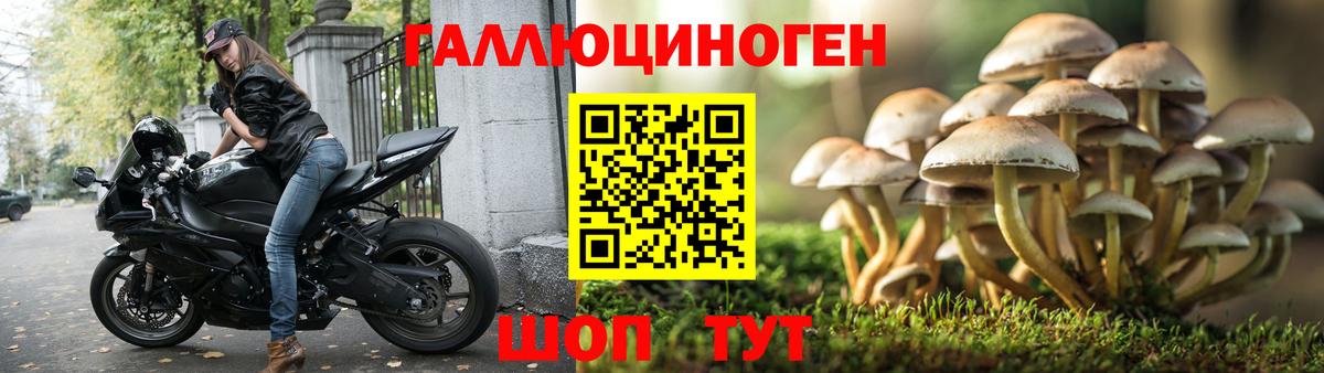 Псилоцибиновые грибы прущие грибы Фрязино